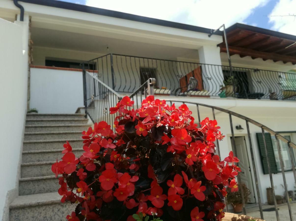 Il Giardino Apartment Lotzorai Exterior foto